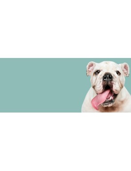 test2